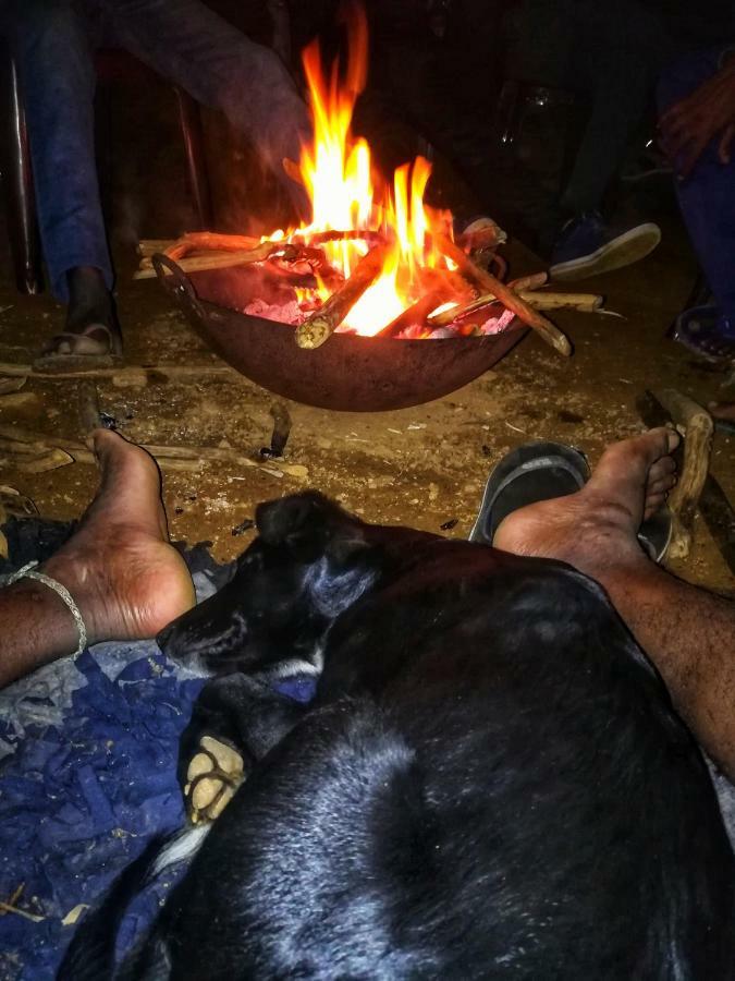 Campingplatz Eco Haputale-camping Sri Lanka *