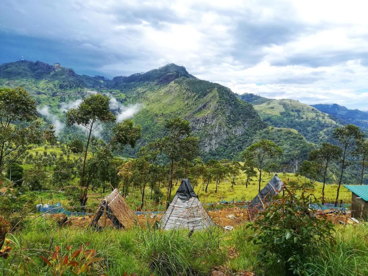 Camping Eco Haputale-camping Sri Lanka